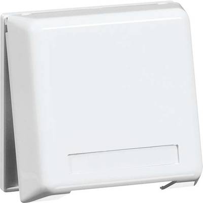 PEHA by Honeywell Afdækning Afdækning 819611 1 stk