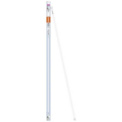 En UV-C-lampe i en blå emballage med et orange etiket. Lampen er lang og slank som vist på billedet.