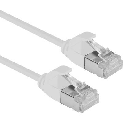 To Ethernet-kabler i hvid farve med plastikstik og metalkontakter, velegnede til netværksapplikationer.