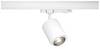 Paulmann Kratos 96562 LED-skinnespot ProRail3 9 W LED (RGB) Hvid