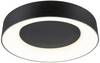 Paulmann 71097 Casca LED-loftslampe LED (RGB) LED indbygget 23 W Sort (mat)