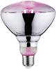 Paulmann LED-plantelampe vækst 230 V E27 6.5 W Bernstein 1 stk