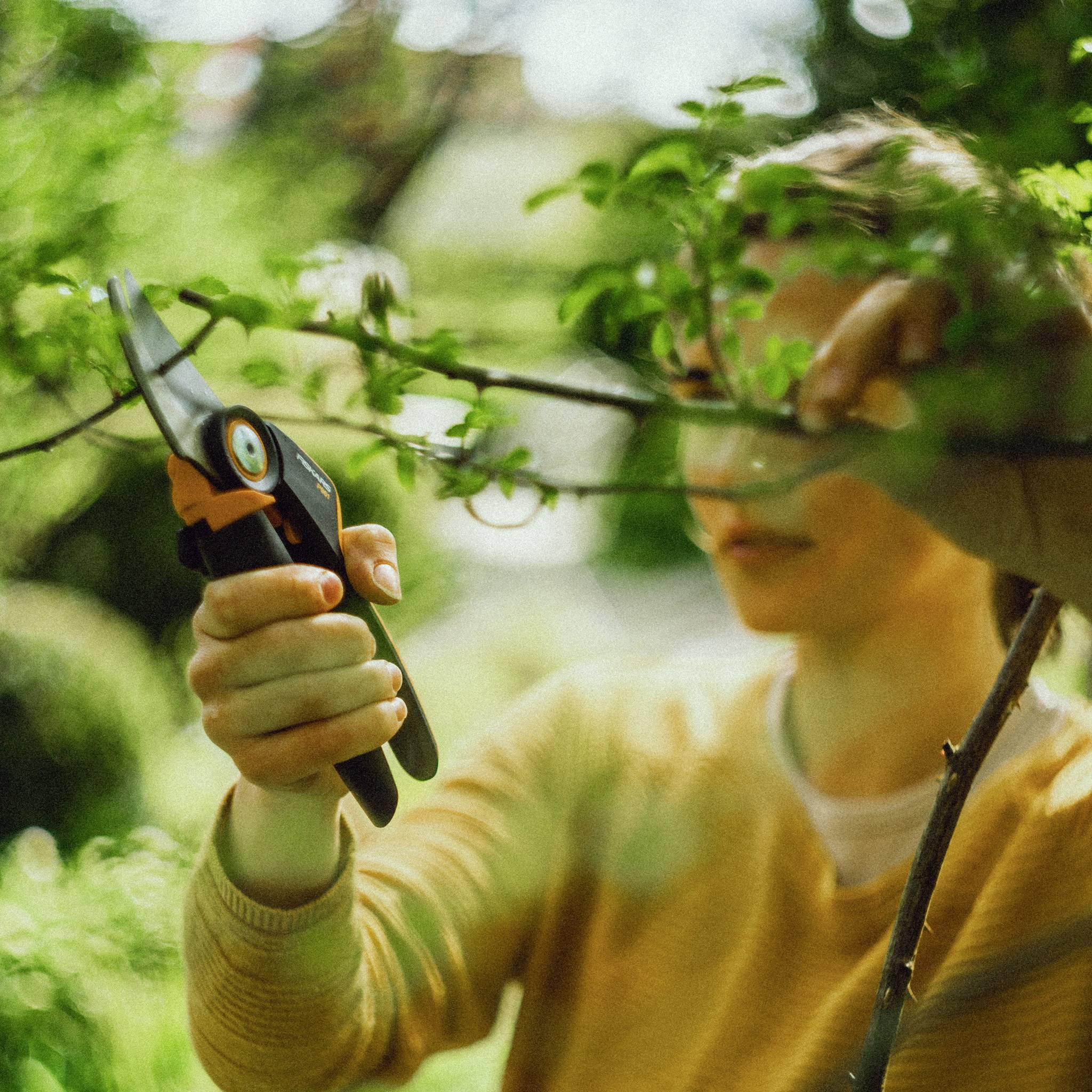 En person klipper grene af en plante med en beskæresaks. Baggrunden er sløret og grøn, hvilket antyder en havemiljø.