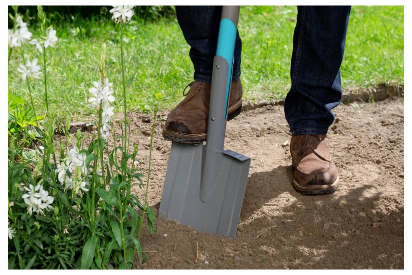 En person i brune støvler, der graver jord med en grå skovl tæt på hvide blomster i en have, hvilket antyder havearbejde eller plantningsaktiviteter.