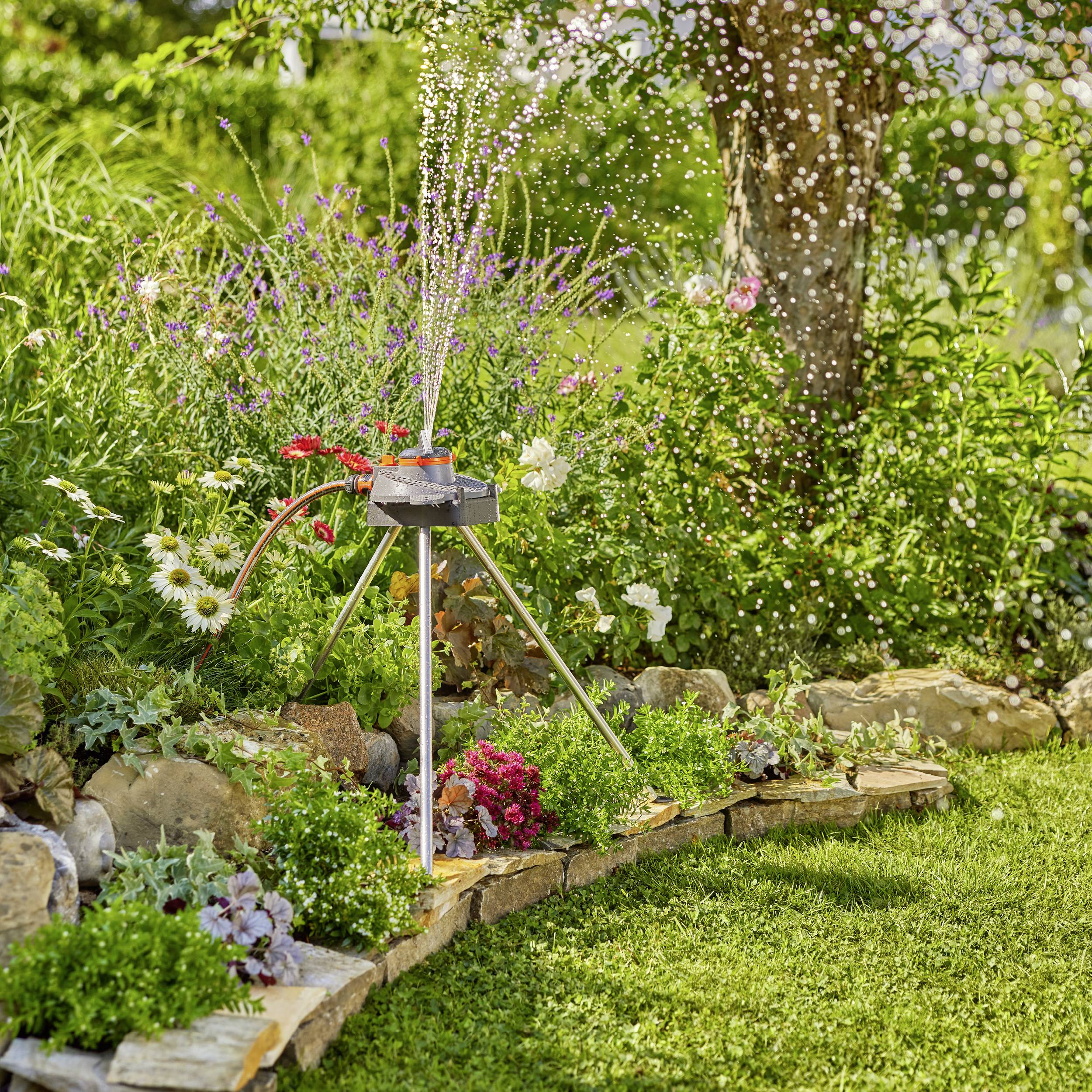 En have med blomstrende planter og en sprinkler, der sprøjter vand ud for at vande vegetationen. En velplejet græsplæne er synlig.
