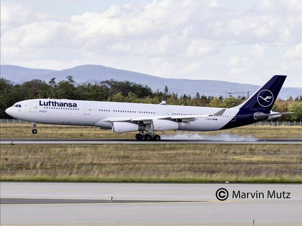 Revell 03803 A340-300 Lufthansa New Livery Modelfly byggesæt 1:144