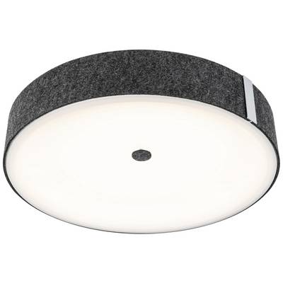 Rund, moderne loftslampe med sort kant og jævn, hvid belysning i midten. Perfekt til stue eller kontor.