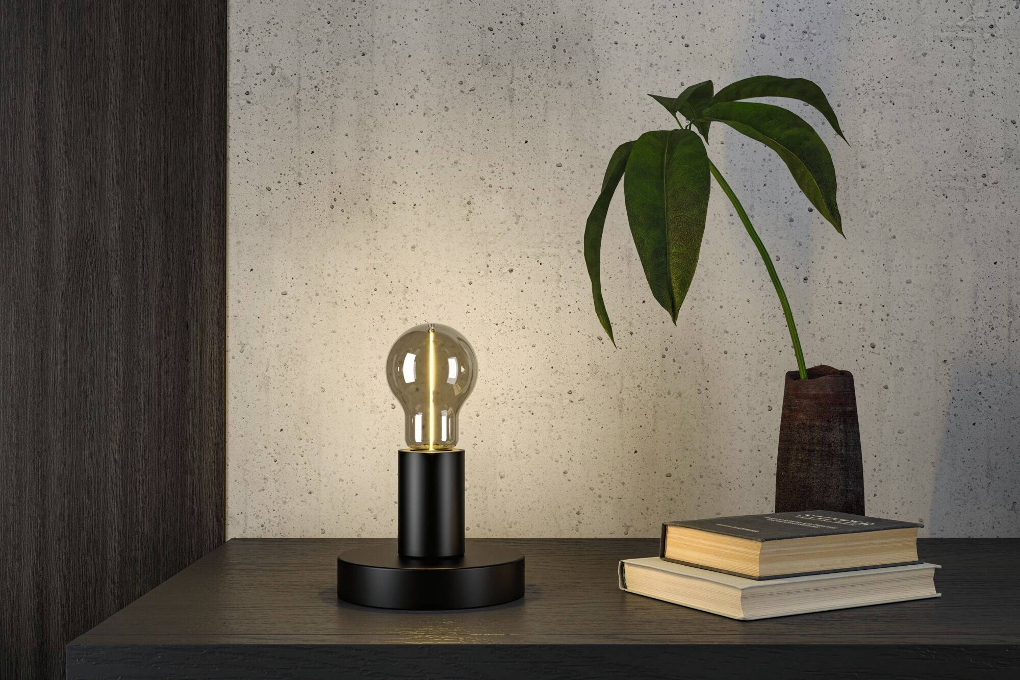 En dekorativ bordlampe med en gennemsigtig pære står på et mørkt bord ved siden af en bunke bøger og en plante.