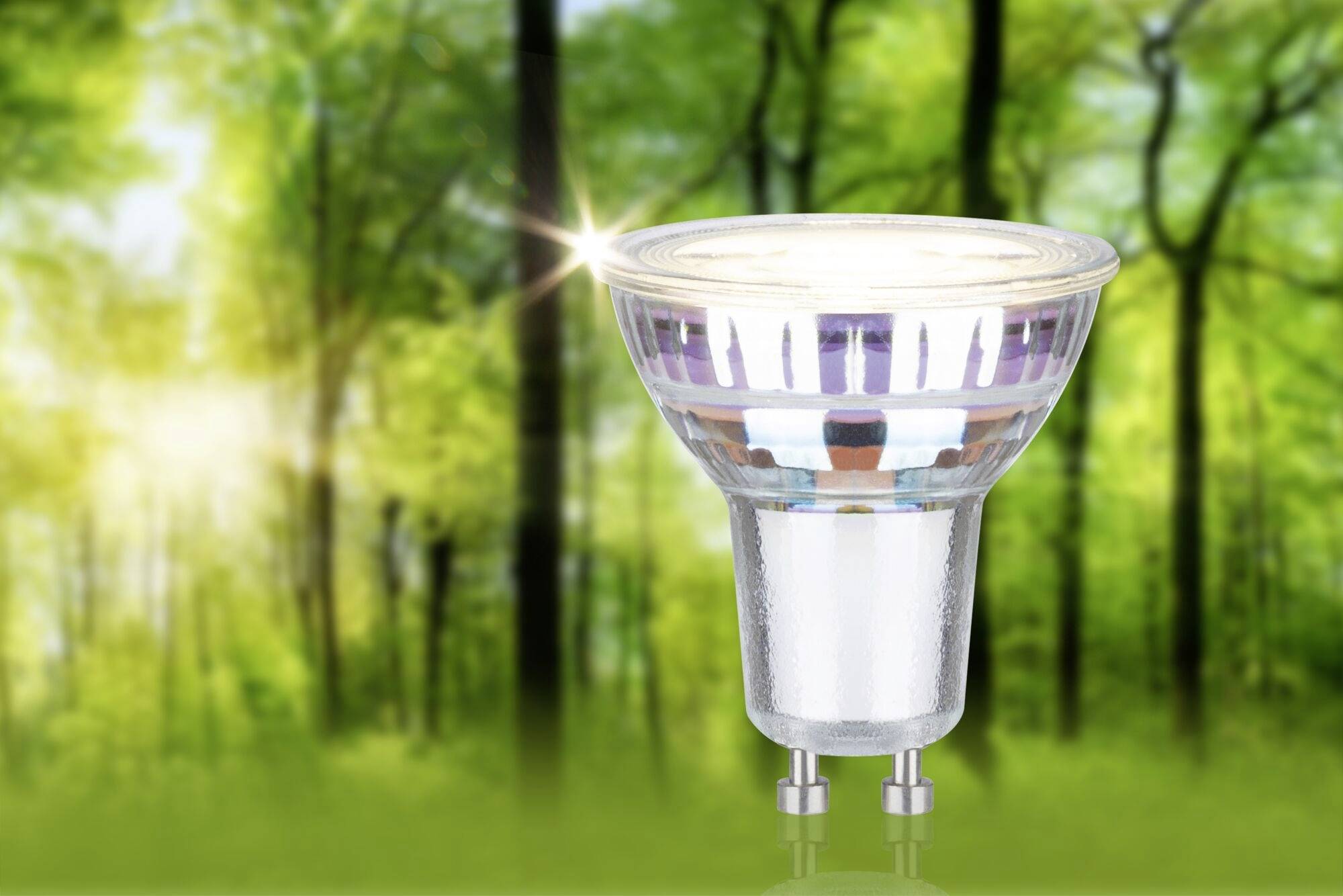 En LED-pære svæver foran en baggrund med sløret skov og symboliserer energieffektivitet og miljøvenlighed.