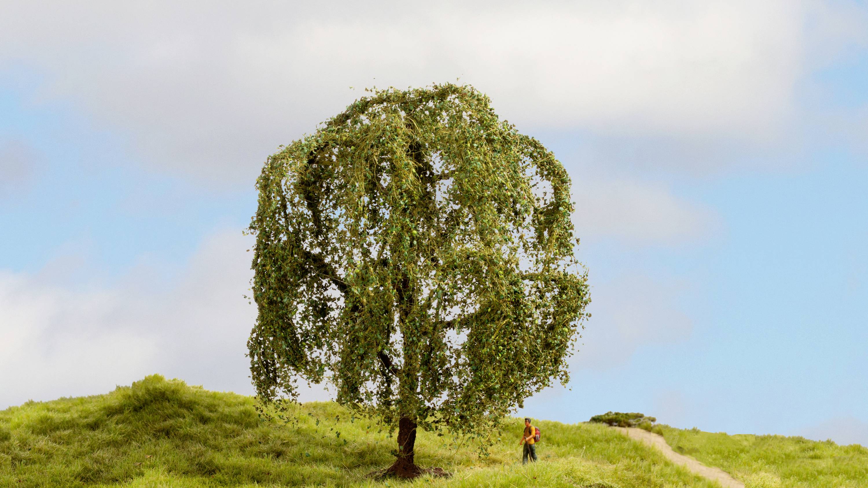 Et enkelt træ står på en grøn bakke under en blå himmel med skyer. En lille person vandrer på stien ved siden af træet.