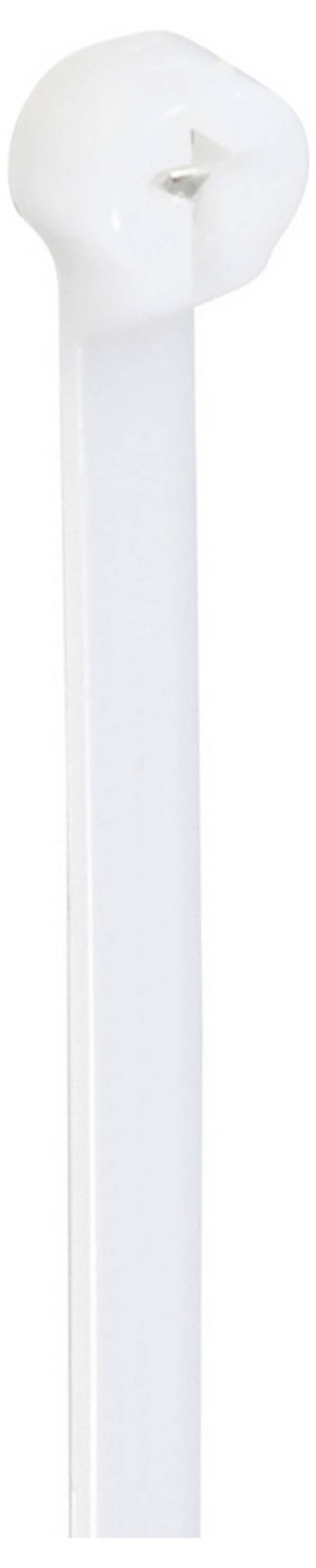 TRU COMPONENTS TC-12814152 Kabelbinder 200 mm 4.8 mm Natur Med metaltap, kemisk bestandighed 100 stk