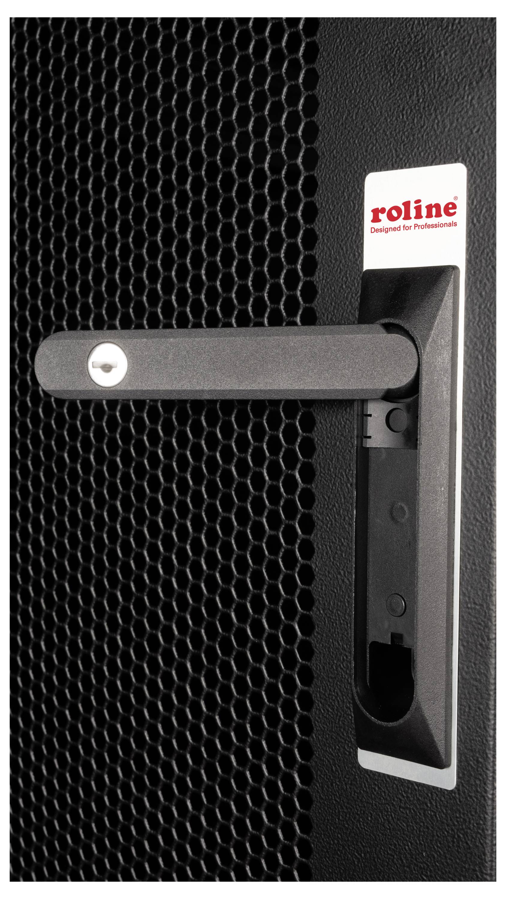 En sort dør med en vippearm og et nøglehul. Øverst til højre står der 'roline'. Baggrunden er forsynet med et gitterstruktur.