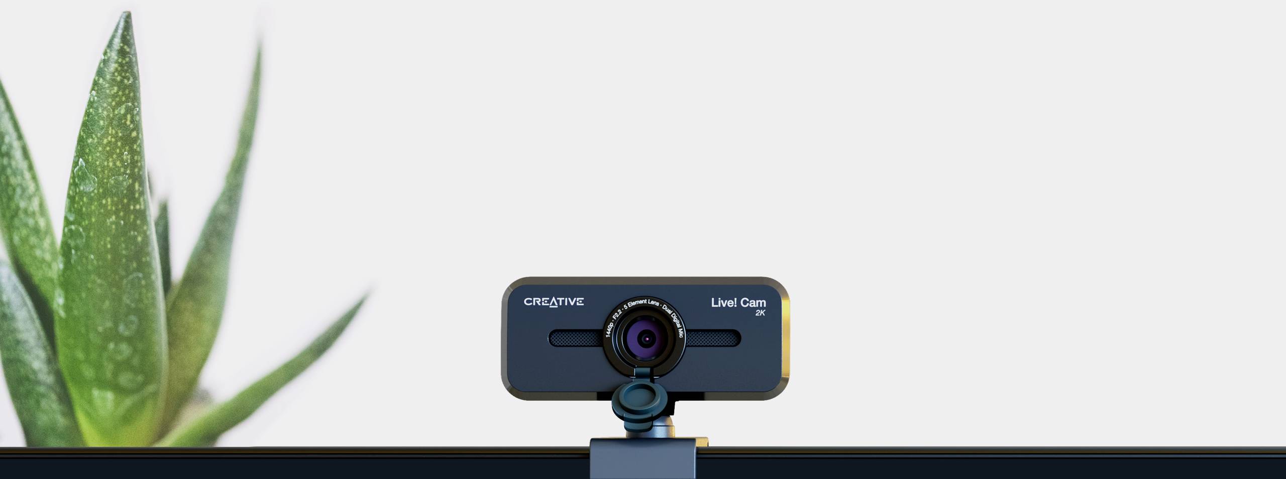 Webcam med linse i midten og en mikrofon, foran en sløret baggrund med en grøn, spids plante til venstre.