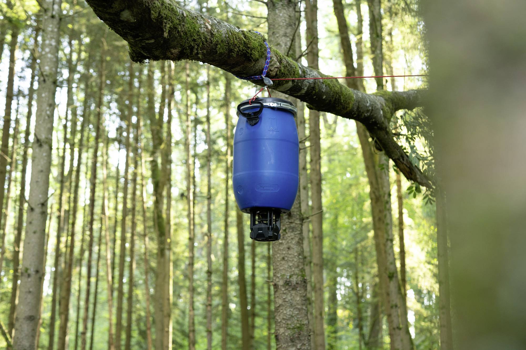 En blå plastbeholder hænger i et reb på et træ i skoven. Den ser ud til at blive brugt til udendørs- eller eventyraktiviteter.