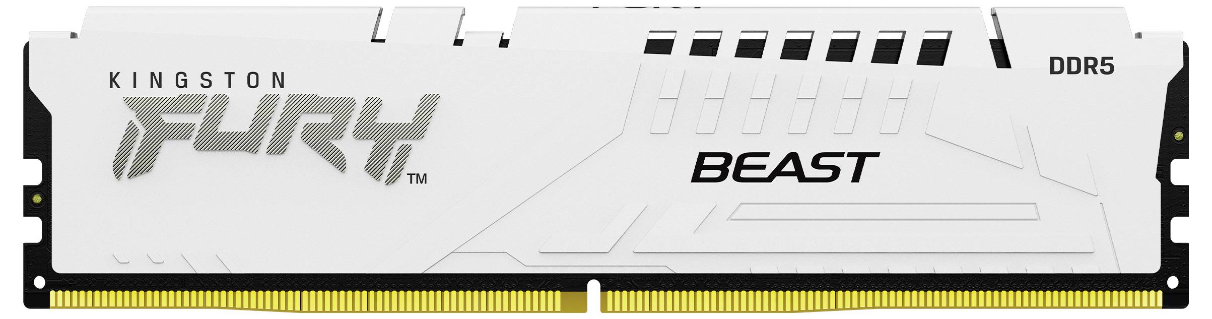 En hvid Kingston Fury Beast DDR5 RAM-modul med sort tekst, velegnet til højtydende computeranvendelser.