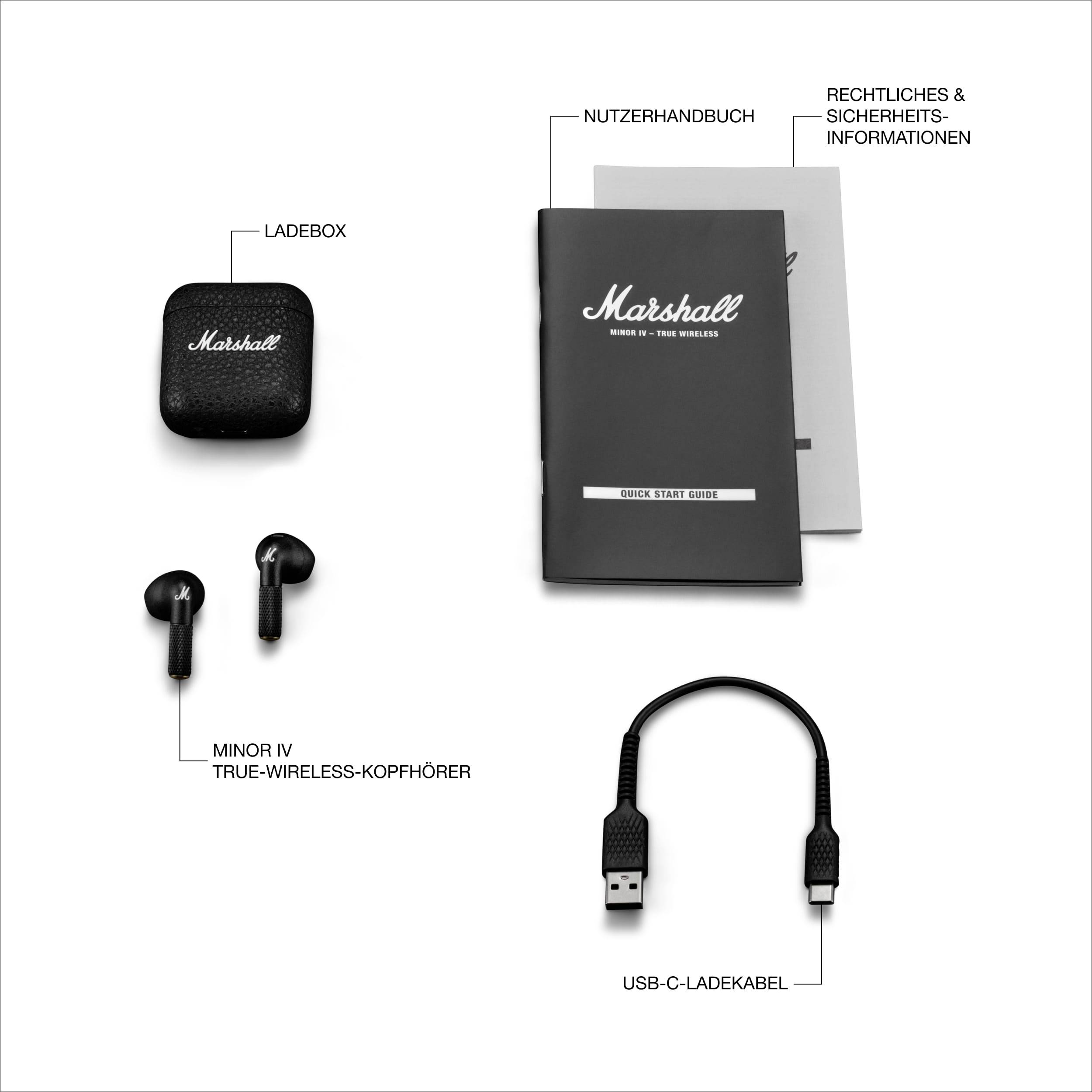 Opladningskabel, opladningsetui, brugervejledning, sikkerhedsinformationer og true wireless-høretelefoner på hvid baggrund.