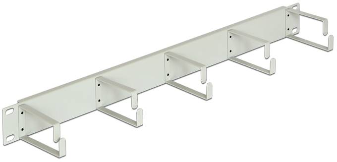 Delock 42116 19 tommer Netværksskab-kabelføring 1 U Gråhvid (RAL 7035)-1