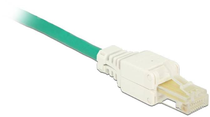 Delock Delock - Netzwerkanschluss - RJ-45 (M) - UTP - CAT 5e - (Anzahl pro Packung: 2) RJ-stikforbindelse 86415 Stik Hvi-3