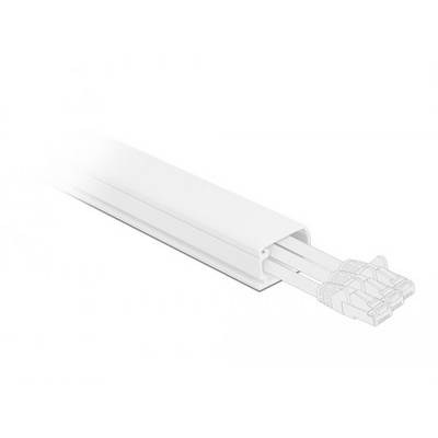 Delock 20722 Kabelkanal PVC Hvid (L x B x H) 1 m x 35 mm x 20 mm 1 stk-0