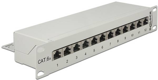 Delock 43308  Patch-panel 254 mm (10") CAT 6A 1 U Grå med stik