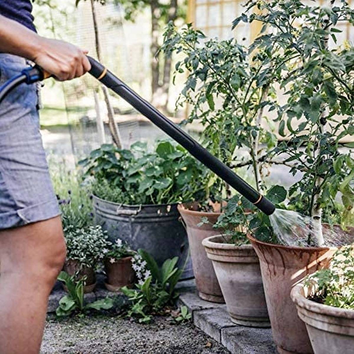 En person vander planter i potter med en vandslange i en have. I baggrunden er flere grønne planter synlige.
