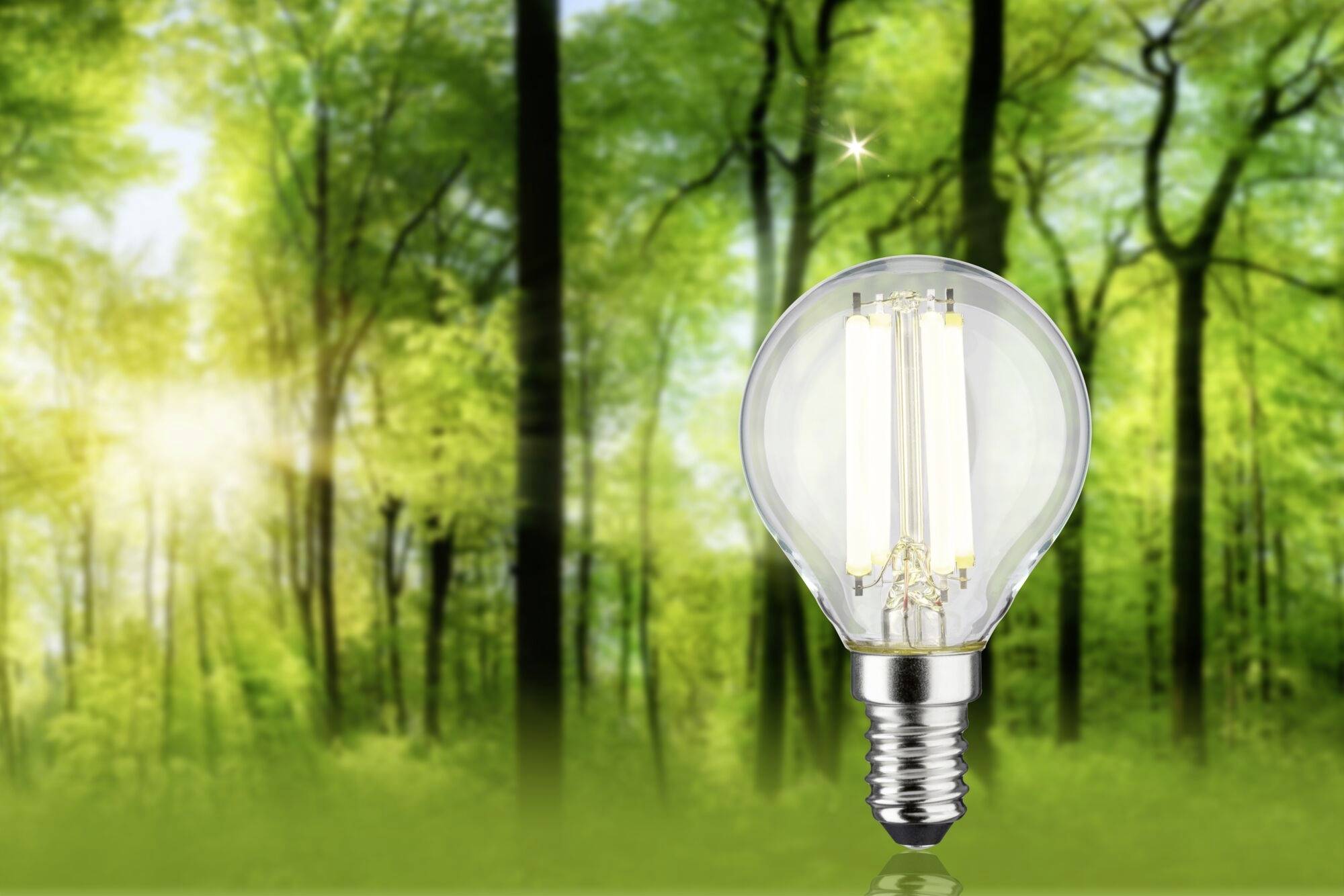 Paulmann 29204 LED (RGB)-lamp EEK A (A - G) E14 Dråbeform 4 W Neutralhvid (Ø x H) 45 mm x 78 mm 1 stk-3