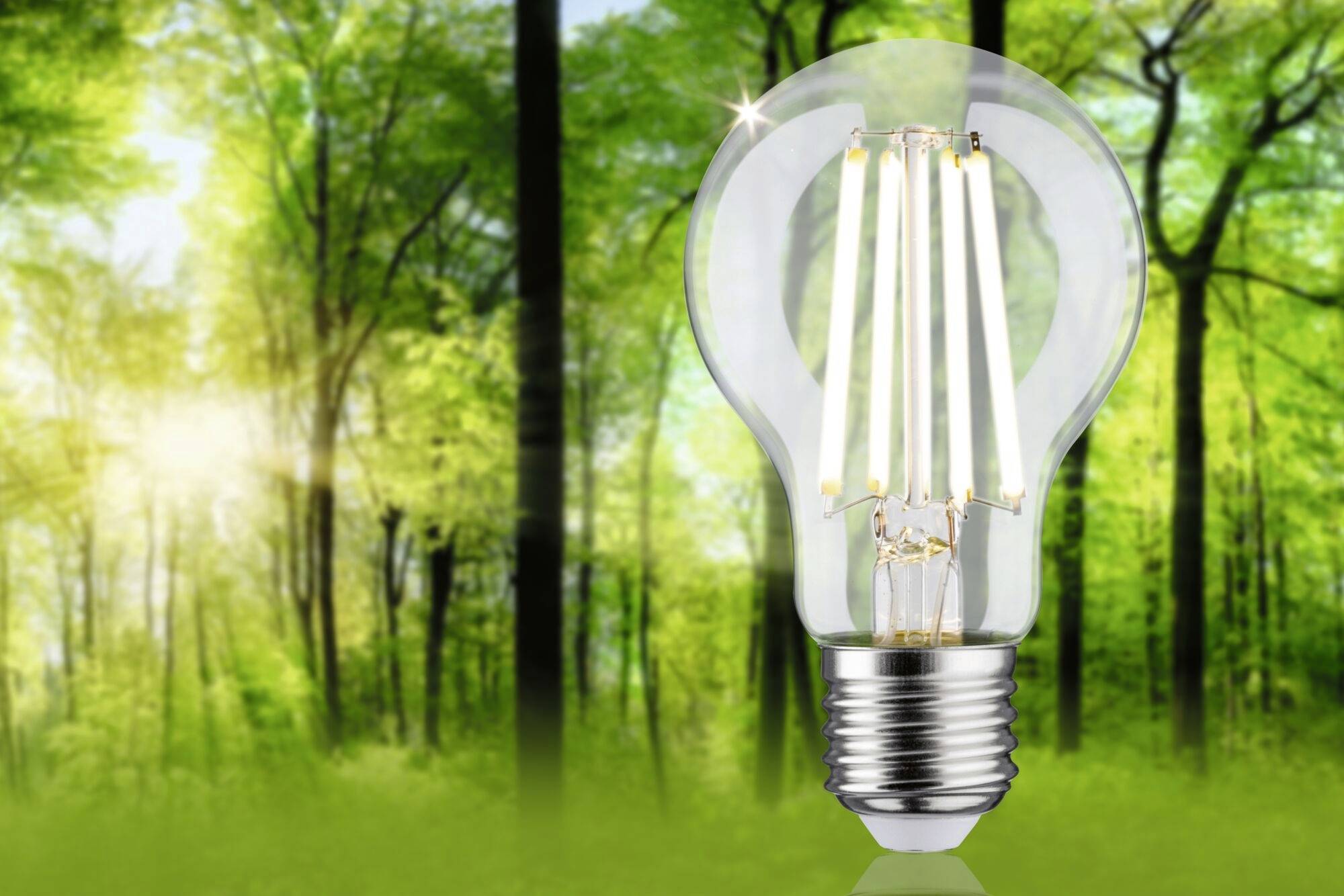 Paulmann 29229 LED (RGB)-lamp EEK B (A - G) E27 Pæreform 4.5 W Varmhvid (Ø x H) 60 mm x 105 mm 1 stk-3