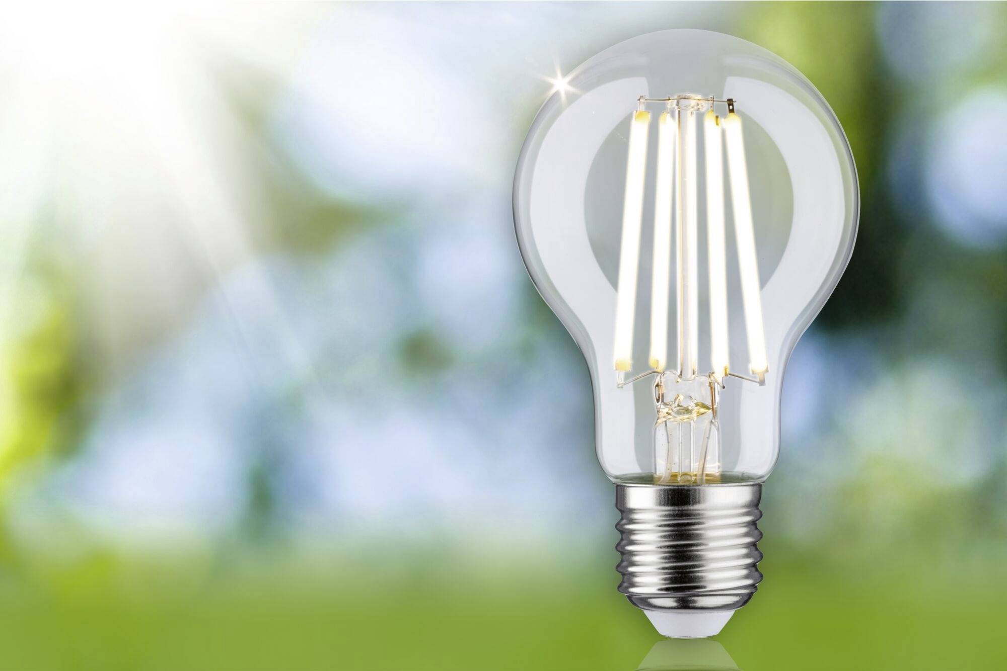 En glødepære står foran en sløret baggrund af grønt løv og sollys, hvilket symboliserer miljøvenlig energi.