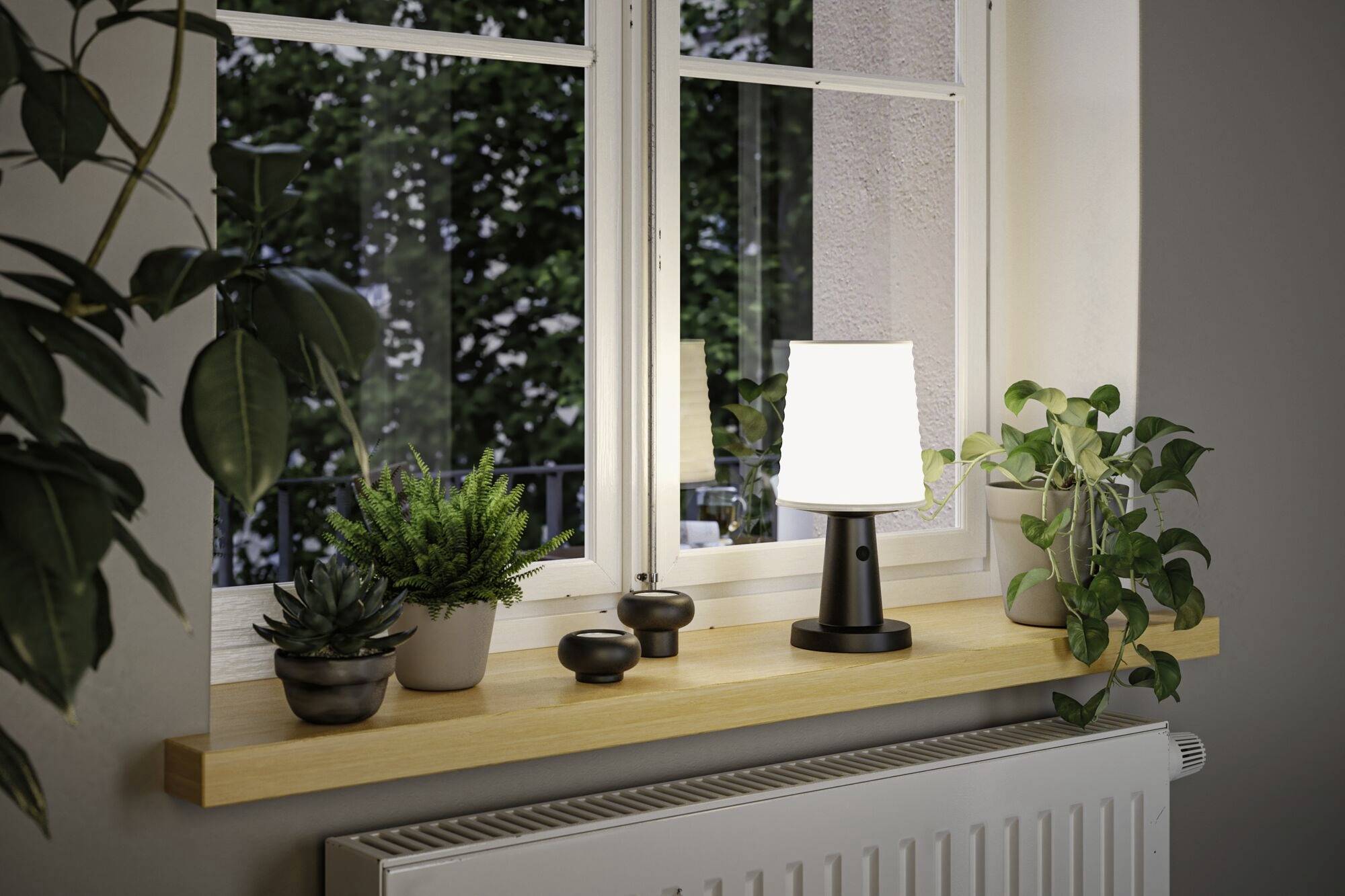 Vindueskarmen med en oplyst lampe og flere stueplanter, herunder sukkulenter, foran et vindue med udsigt til træer.