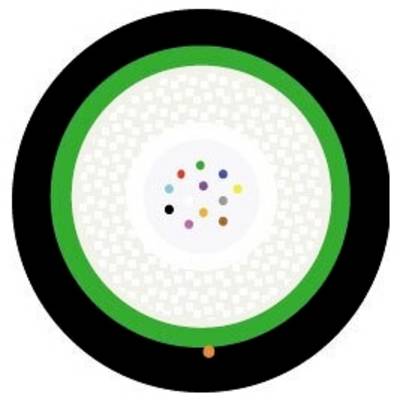En cirkulær diagram med en grøn ring, et hvidt centrum og små farvede prikker i centrum, som symboliserer et mønster eller designkoncept.