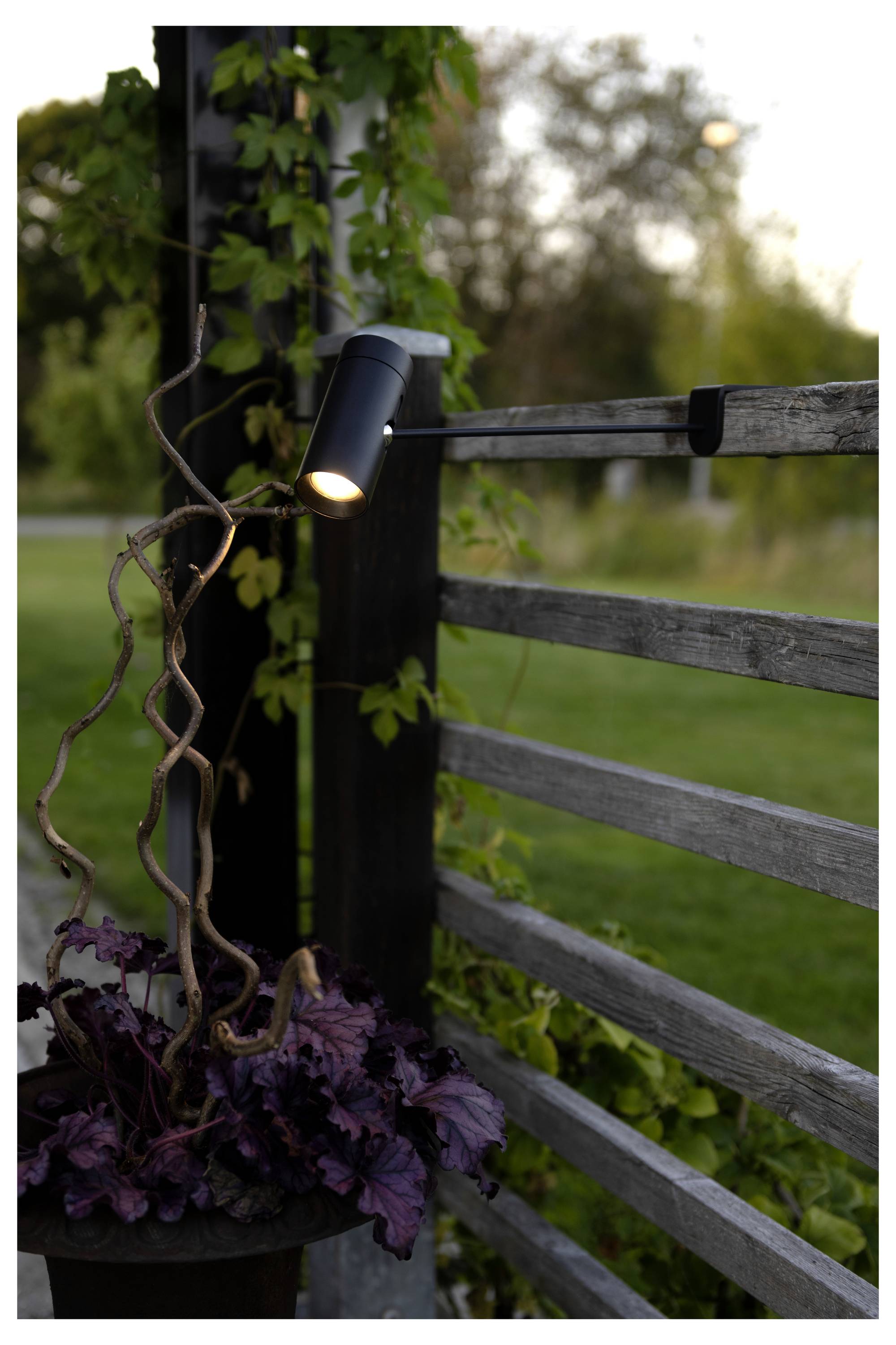 En potteplante med lilla blade under en lille udendørs spotlampe på et træhegn, med grønne planter og græsplæne i baggrunden.