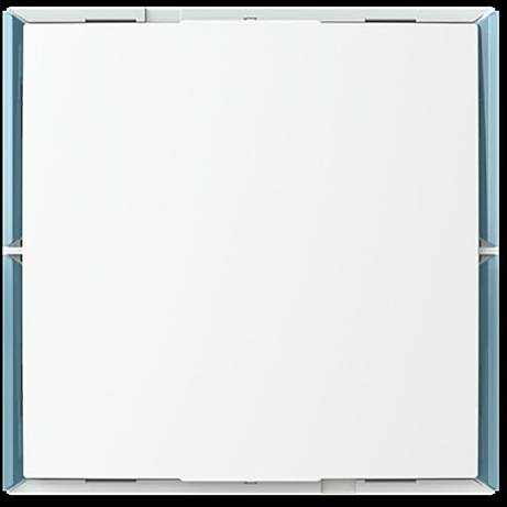 Busch-Jaeger KNX KK/U4.55.11 Betjeningsapparat-0