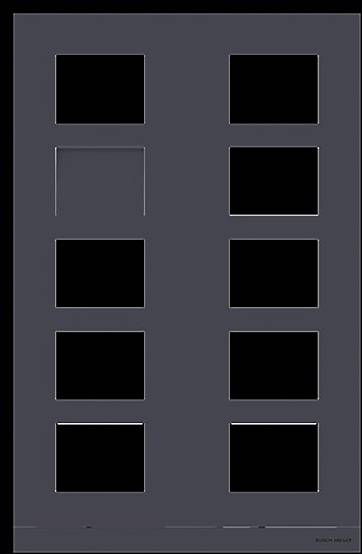 Busch-Jaeger 2TMA220160B1015 Frontplade 2-tråds Frontpanel-0