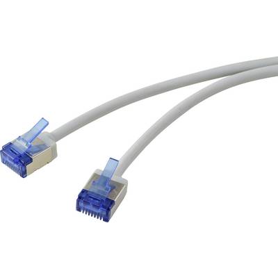 Et hvidt Ethernet-kabel med to blå stik i hver ende, brugt til netværk og internetforbindelse.