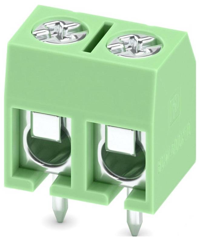 En grøn to-pin skrueterminal-stik, brugt til at fastgøre elektriske ledninger, med synlige metalskruer og kontakter.