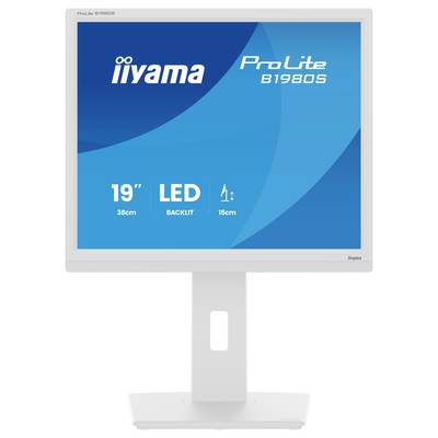 En computerskærm med en 19-tommers LED-baglyst skærm, model 'ProLite B1980S' fra iiyama, vist på et hvidt stativ med en blå baggrund.