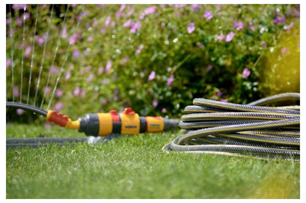 En haveslange forbundet til en orange sprinkler vander grønt græs foran en uskarpt baggrund af rosa blomster og løvværk.