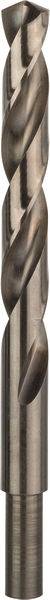 Bosch Accessories 2608577619 2608577619 Metal-spiralbor 1 stk-2