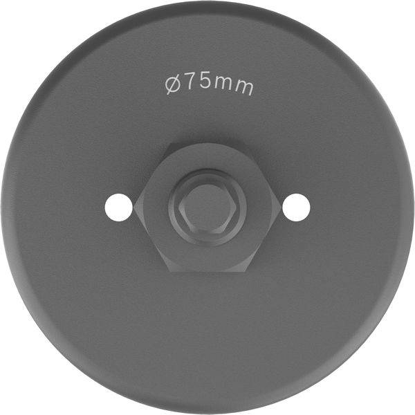 Bosch Accessories 2608594499 2608594499 Stiksav 75 mm 1 stk-0