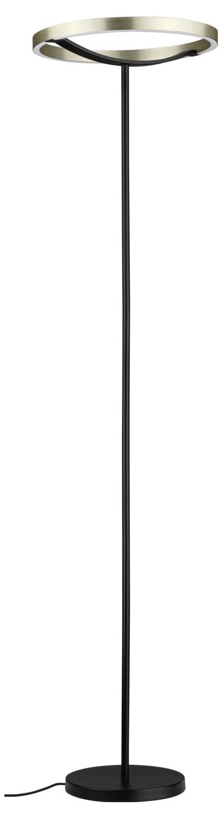 Moderne sort gulvlampe med en smal stang og cirkulær basis, toppet med en ringformet lys.
