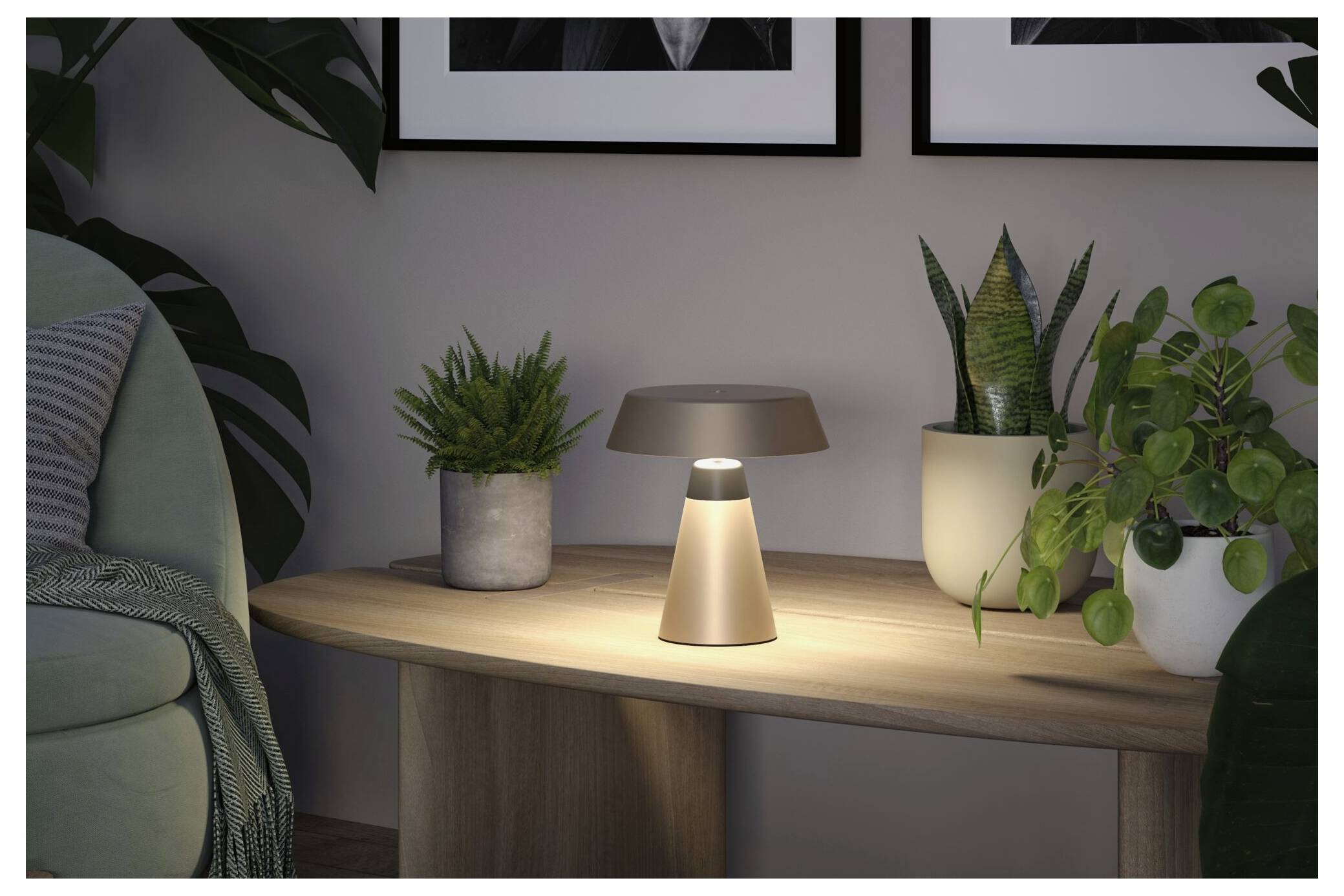 En lille moderne bordlampe, der lyser på en trækonkol mellem potplanter i en hyggelig stue.