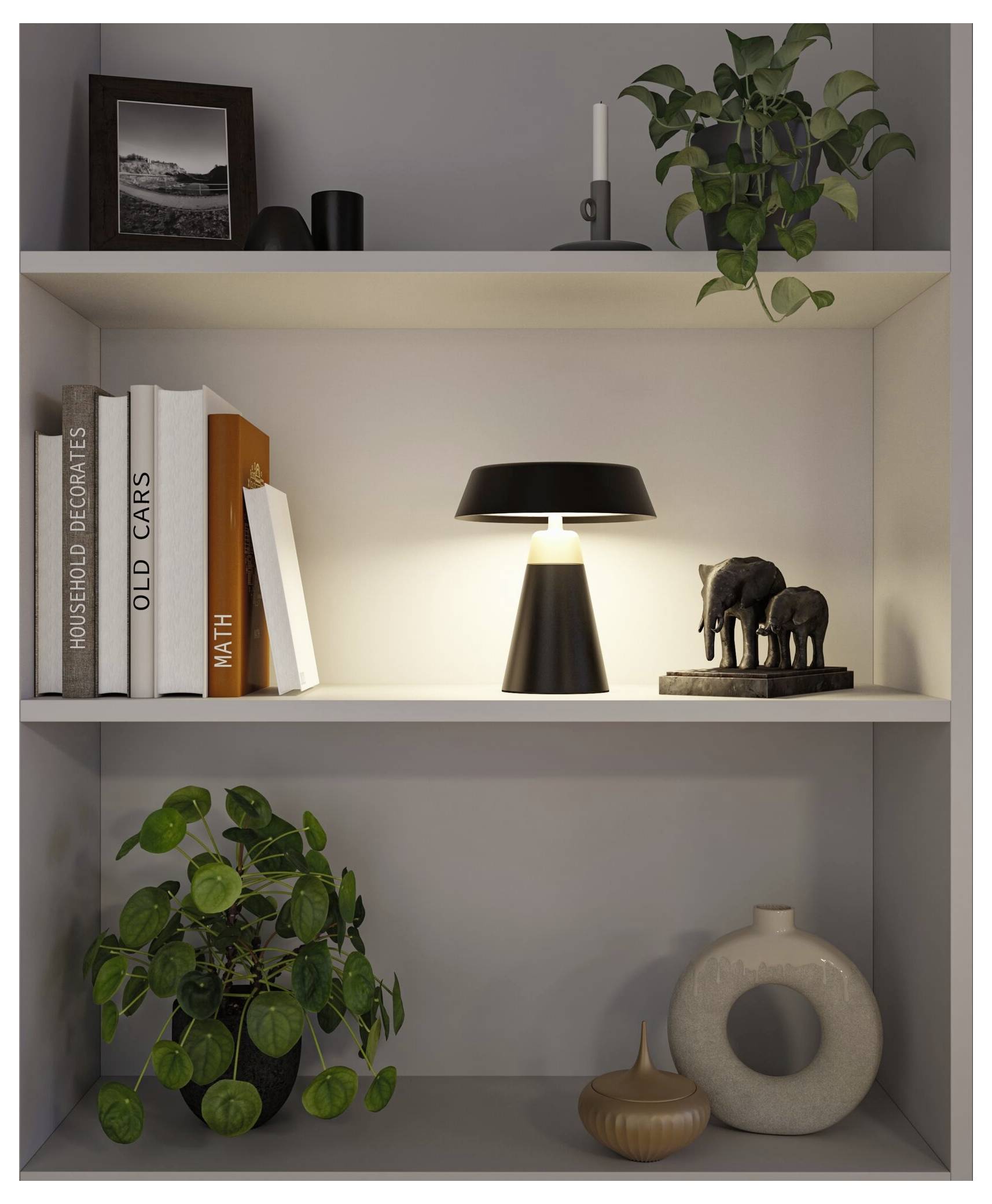 Oplyst displayhylde med bøger, indrammet foto, lampe, potplanter og dekorative elefant- og keramikgenstande.