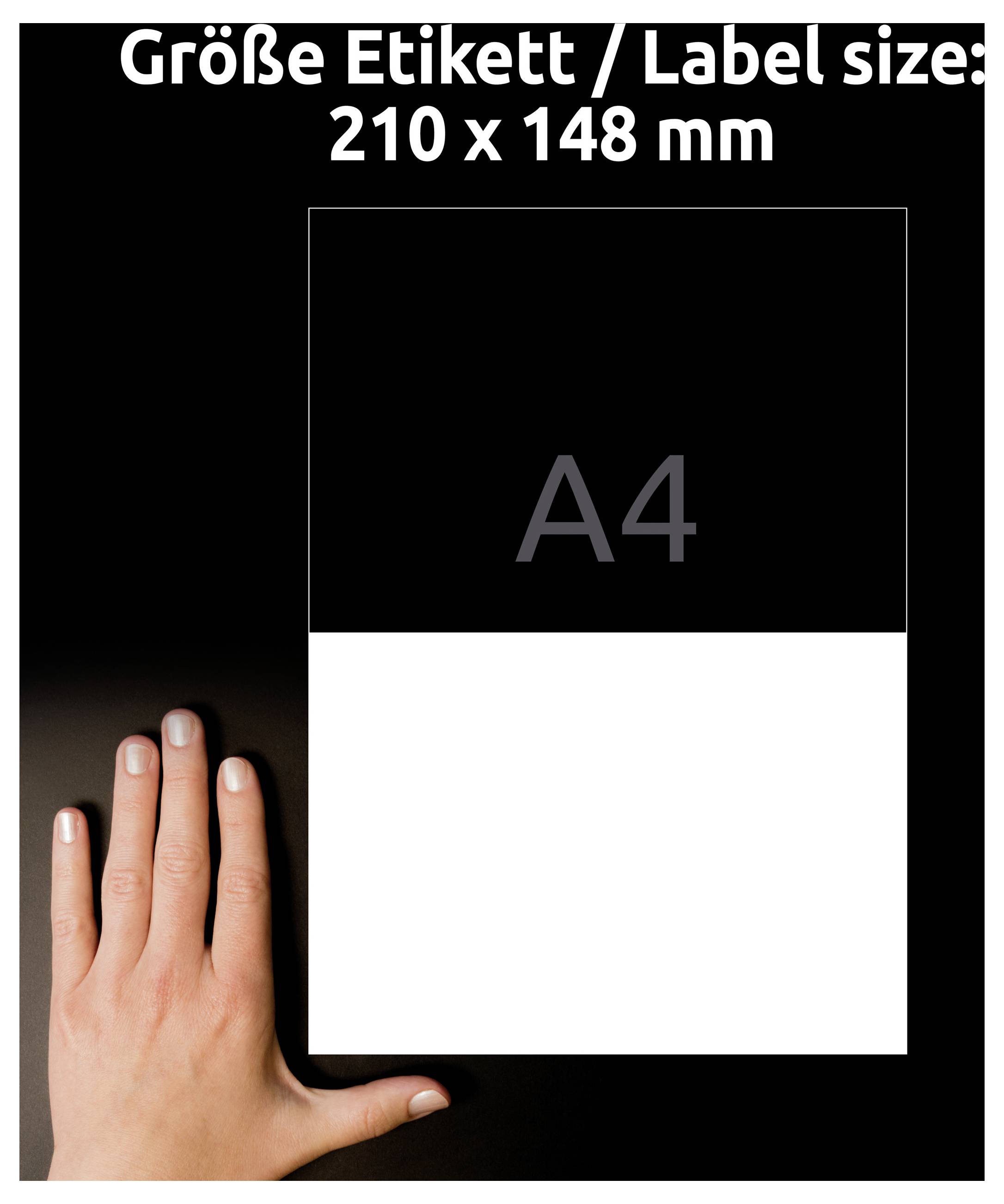 Sammenligningsbillede til etiketstørrelse: A4-etiket med måleangivelse '210 x 148 mm', ved siden af en hånd som størrelsesreference.