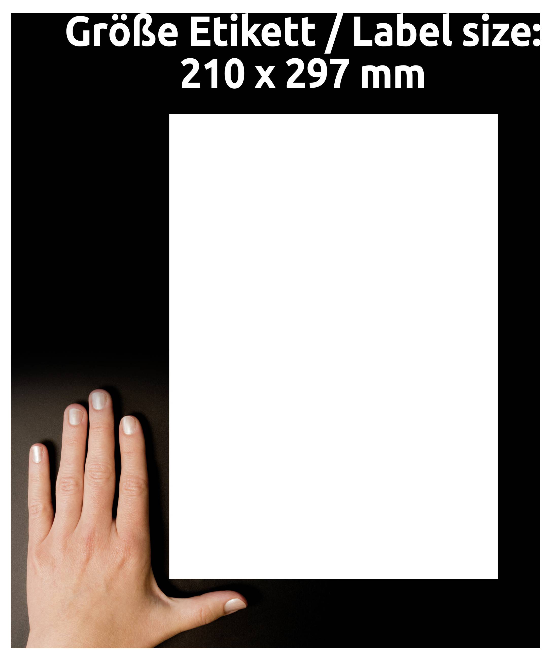 Hånd ved siden af en blank hvid etikette-skabelon mærket 'Størrelse etikett/etikettestørrelse: 210 x 297 mm' på en sort baggrund, som angiver A4-etikettestørrelse.