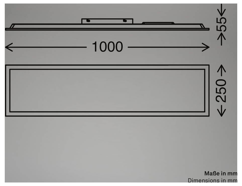 Teknisk tegning af et rektangulært panel, mærket dimensioner 1000 mm bredt, 250 mm højt og 55 mm dybt.