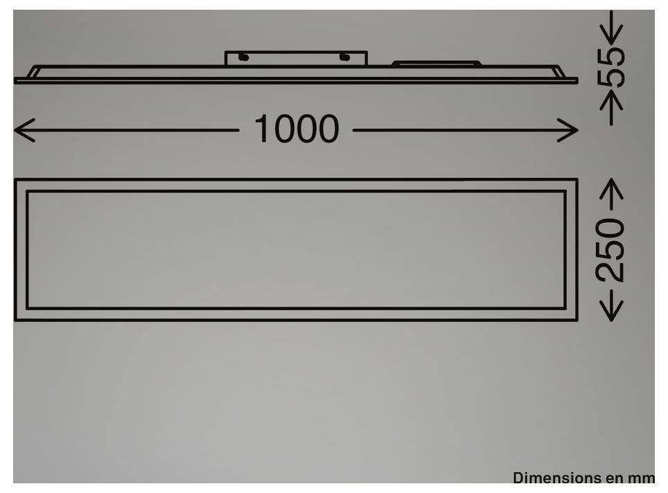 Teknisk tegning af et rektangulært panel, 1000 mm bredt, 250 mm højt og 55 mm dybt, med dimensioner vist i millimeter.