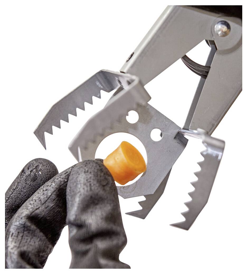 Handsker fingre placerer en lille orange prop i et metalgriberedskab med savtakkede kæber, nærbillede på hvid baggrund.