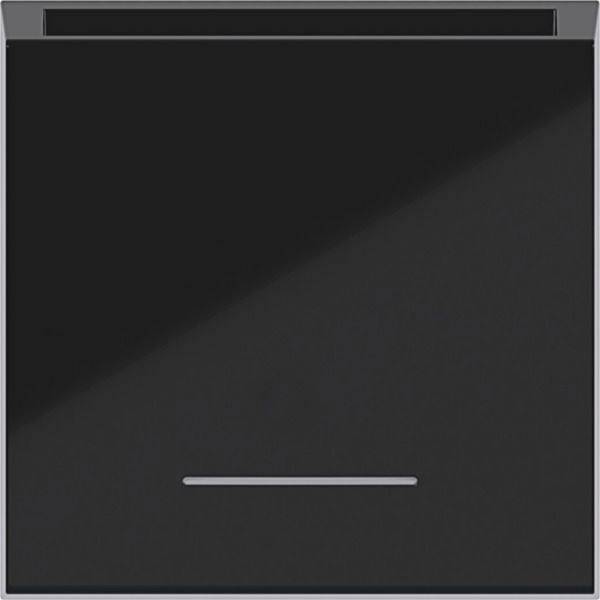 Hager     Natsort (blank) WAF1020BG 1 stk