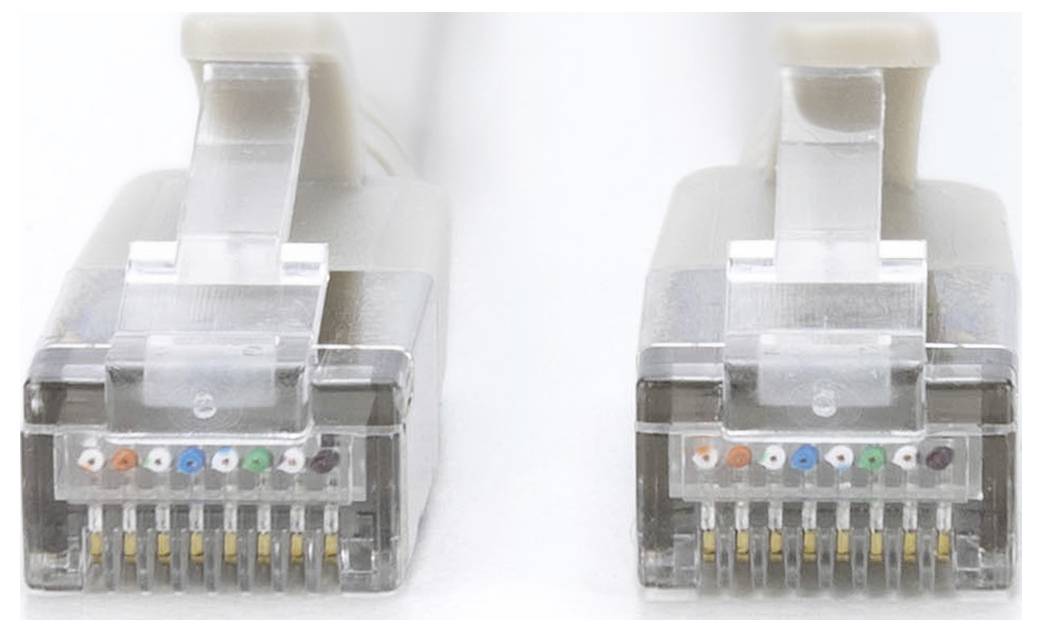 To ægte Ethernet-kabelstik vist ved siden af hinanden på en hvid baggrund.