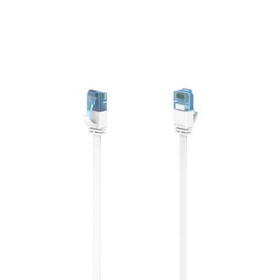 To hvide Ethernet-kabler med blå RJ45-stik vist side om side på en enkel hvid baggrund.